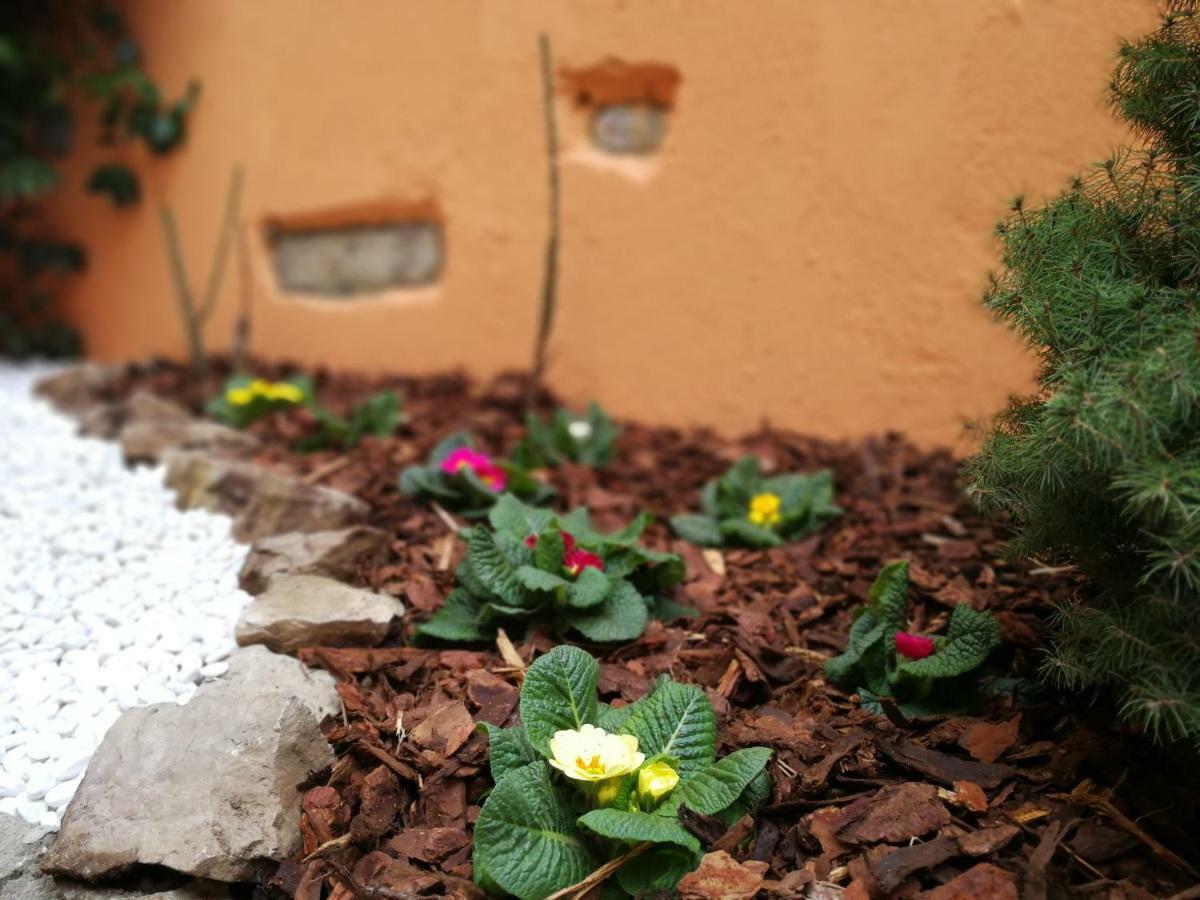 La Corte Dell'Angelo Orio al Serio Zewnętrze zdjęcie